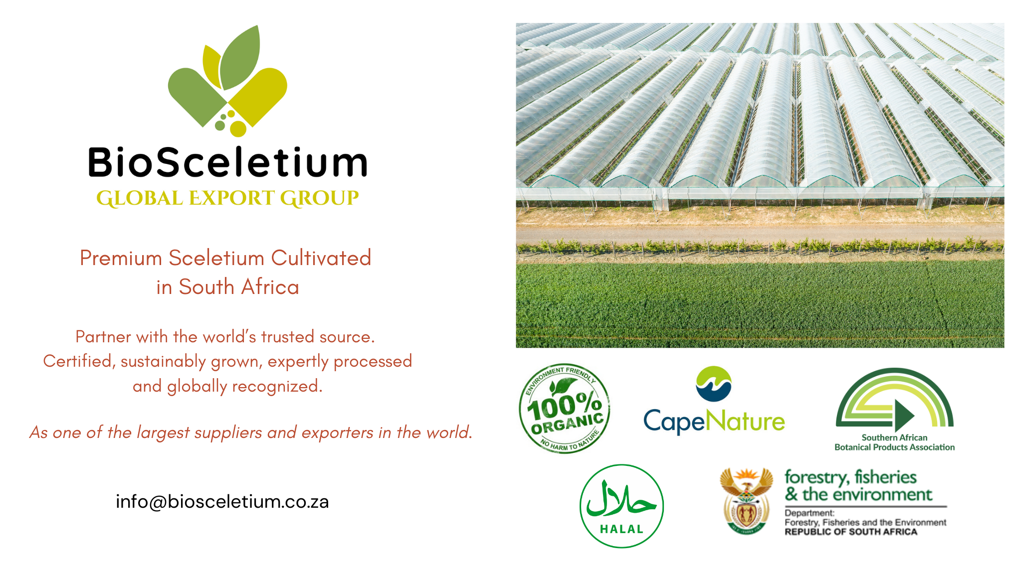 BioSceletium Overview